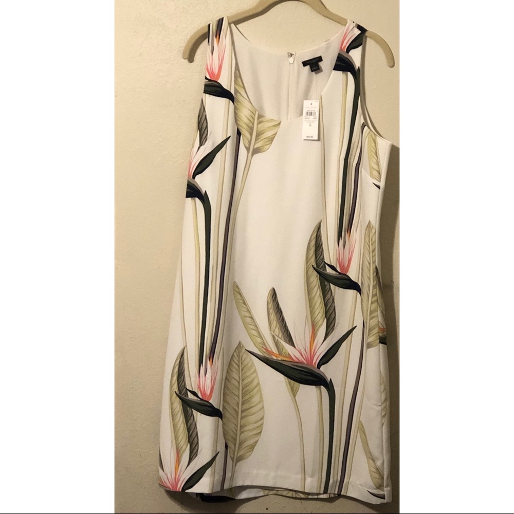 Shift Dress